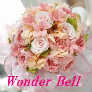 Wonder Bellのロゴ