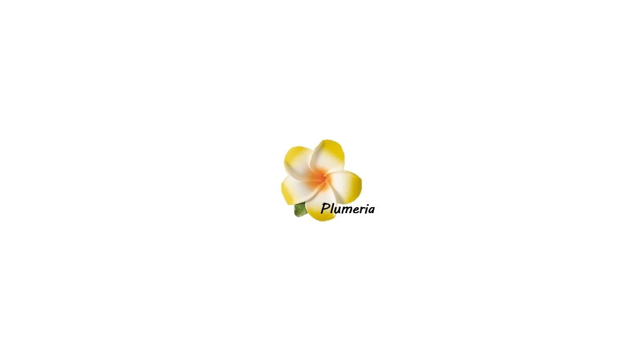Plumeriaのロゴ