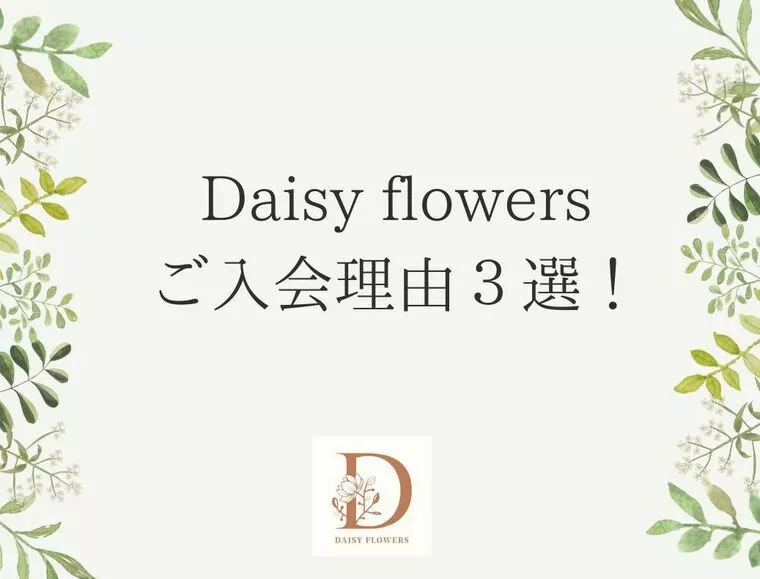 Daisy flowersご入会理由３選！