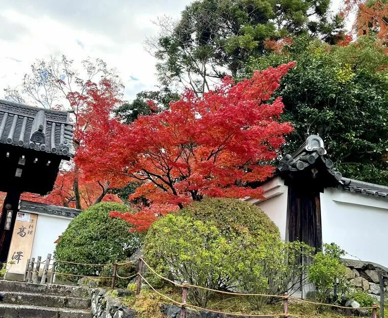 京都婚活サロンNepisu「11月はたくさんの方がカウンセリングに来られました！」-1