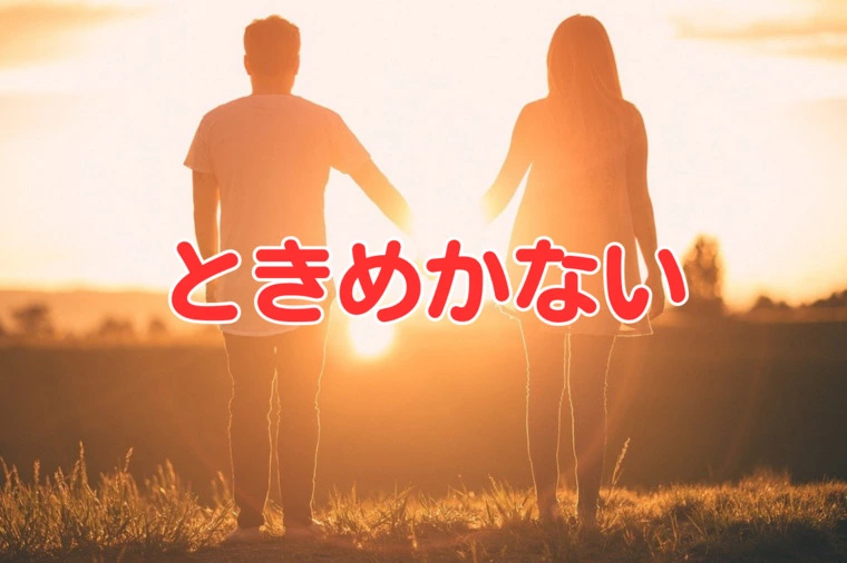 神奈川・横浜の公務員の婚活　婚テラス「ときめかない」-1