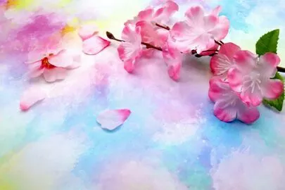 Do Marri「『桜デート🌸の注意点』」-2