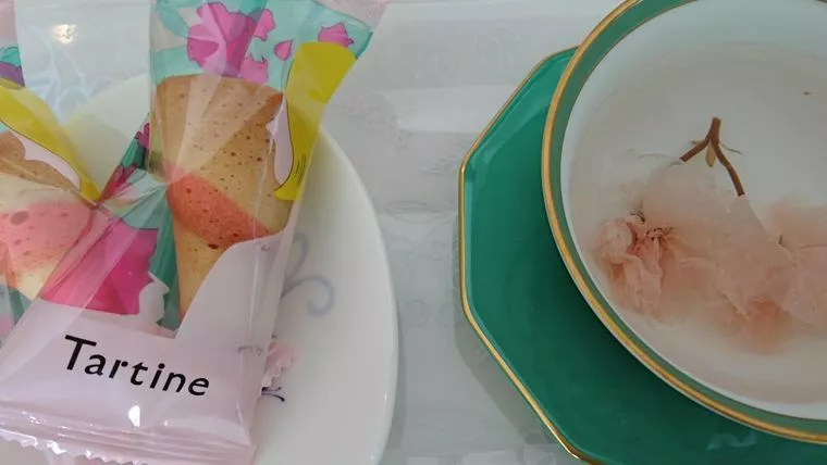 いい湯だなぁ♨桜湯4秘湯