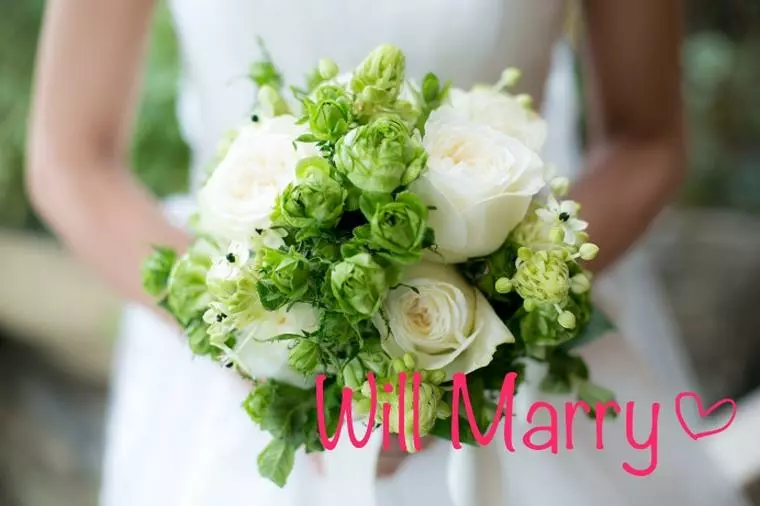 Will Marry（ウィルマリー）「良い出会い」-1
