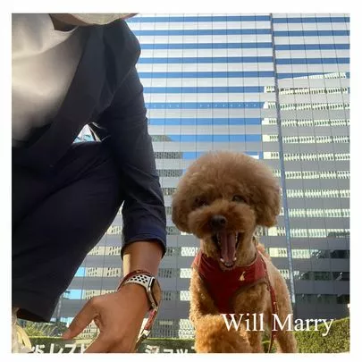 Will Marry（ウィルマリー）「週末も賑やかでした、WillMarry(^^♪」-2